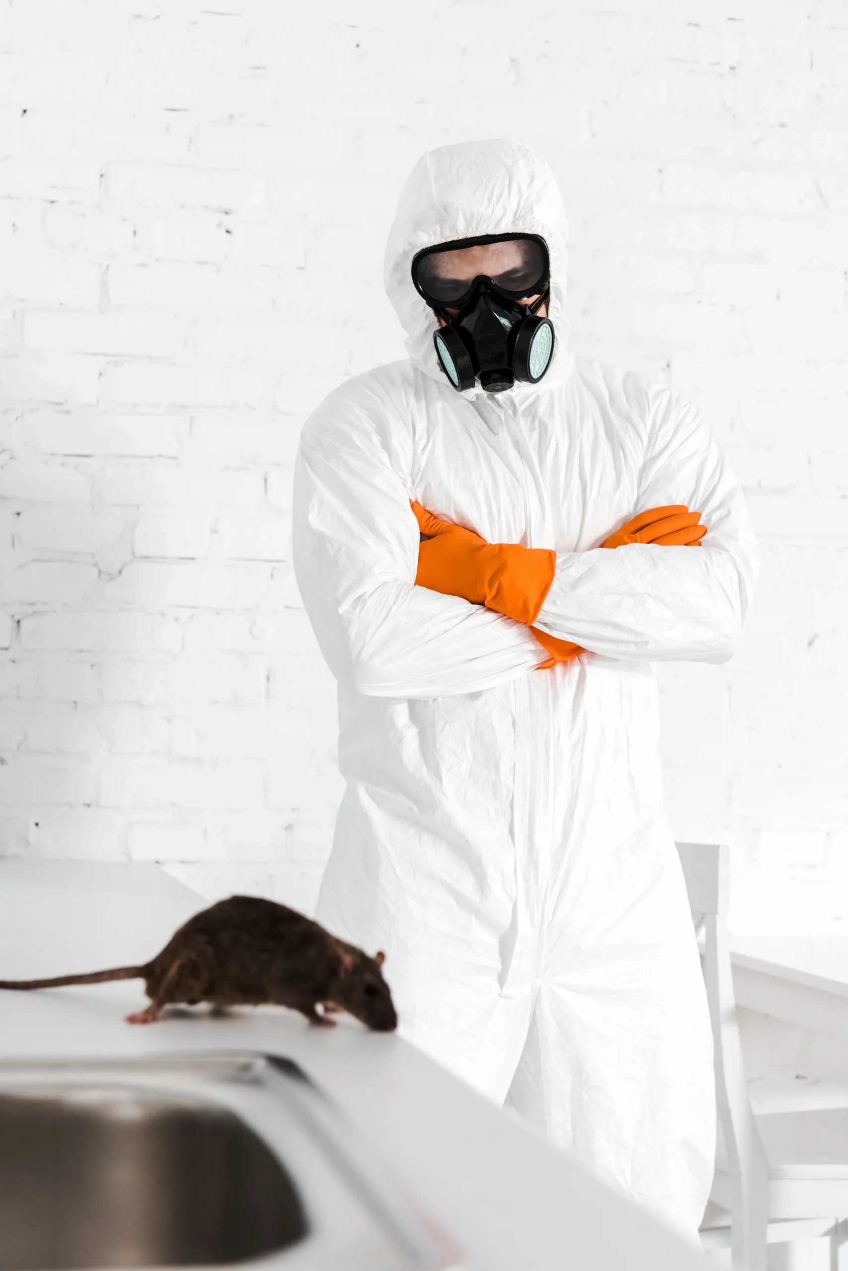 exterminator-standing-with-crossed-arms-and-lookin-2024-11-13-20-36-25-utc